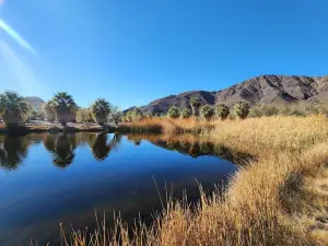 Zzyzx Mineral Springs / Soda Springs