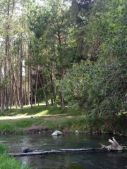 Pancho Poza Ecological Reserve