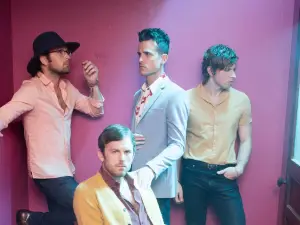 Limerick | Kings of Leon Concert