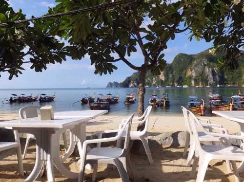 Tonsai Seafood