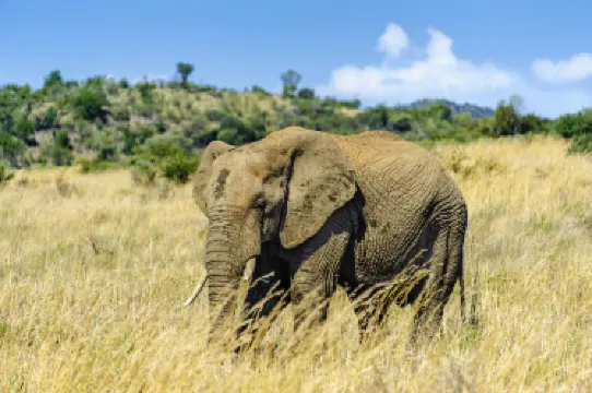 필라네스버그 국립공원
