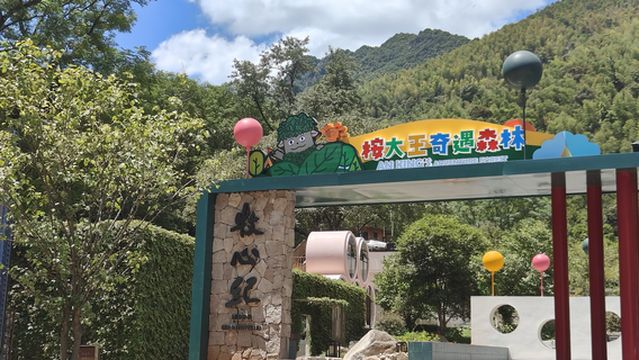 Eucalyptus King Adventure Forest Park