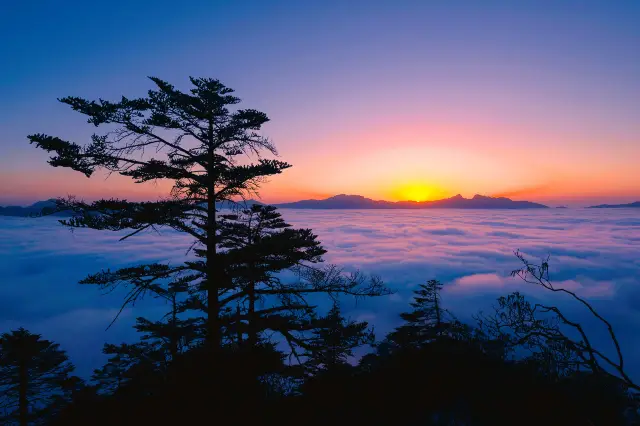 Sunrise Sightseeing in Ya'an