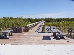 Lovers Key State Park