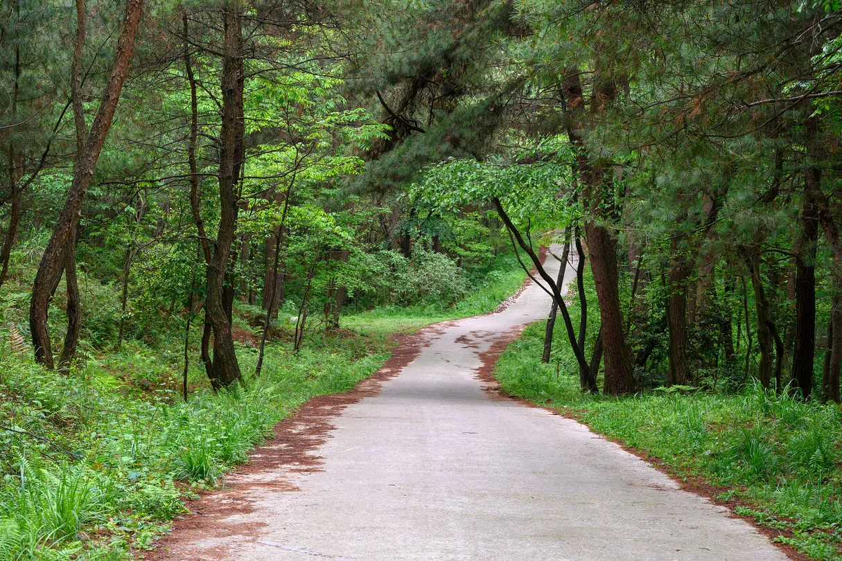 3_Guiyang Forest Park