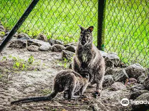 Zoo Stralsund