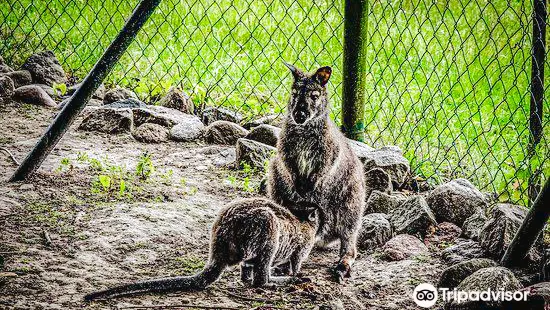 Zoo Stralsund