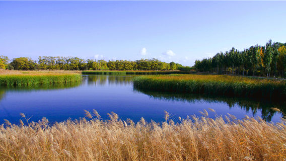Huanghe Sanshenggong National Park