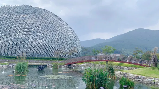 Geoje Botanical Garden Jungle Dome