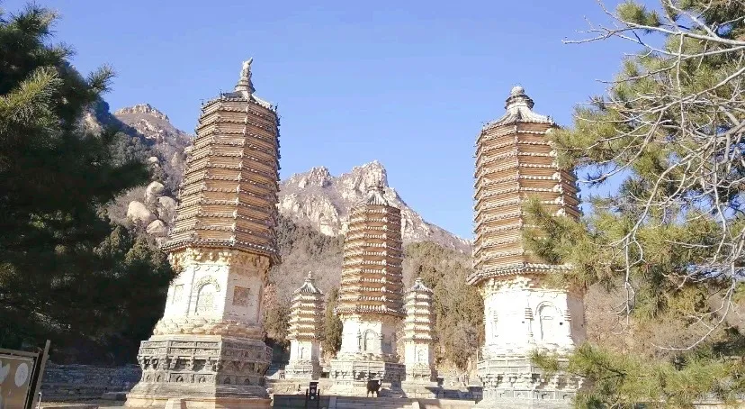 5_Yinshan Pagoda Forest