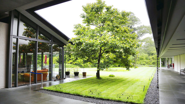 Lalique Museum, Hakone