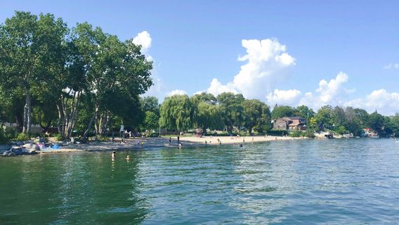 Парк Мари Кертис