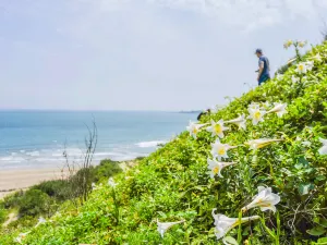 바이샤 완