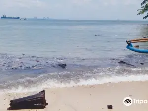 Pantai Teluk Penyu Cilacap