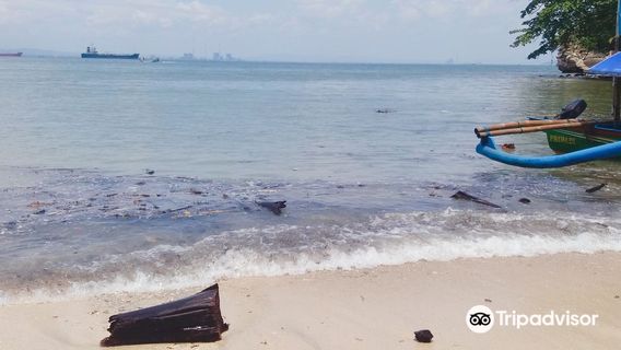 Pantai Teluk Penyu Cilacap