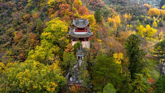 Hanzhong