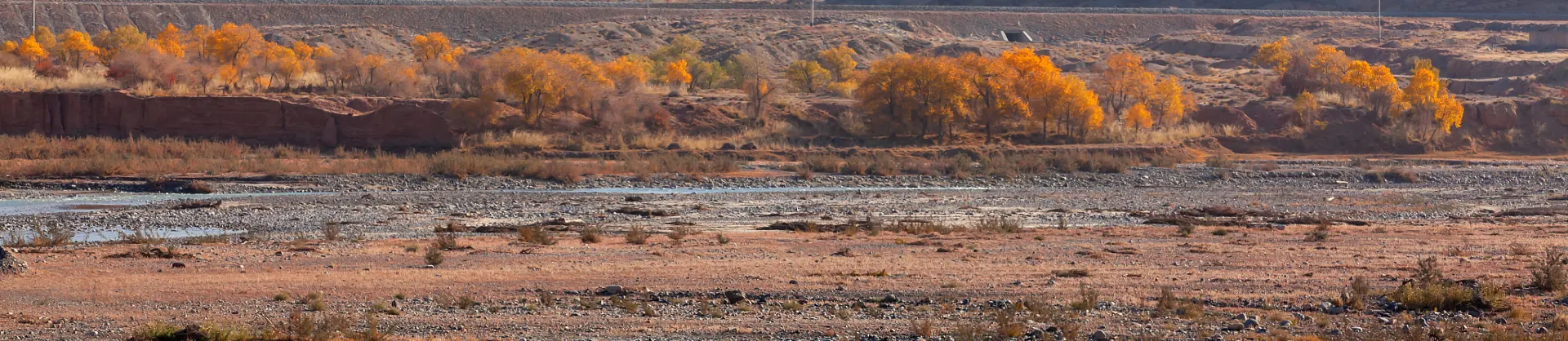 Fall Viewing Attractions