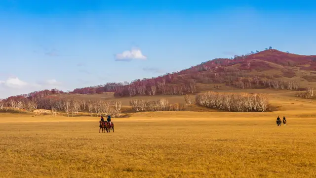 Horse Riding in Chengde