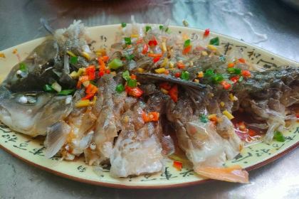 凤舞饭店(福建美食地标店)