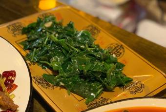 竹恭弘=叶 恭弘菜