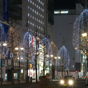 札幌白色燈飾節