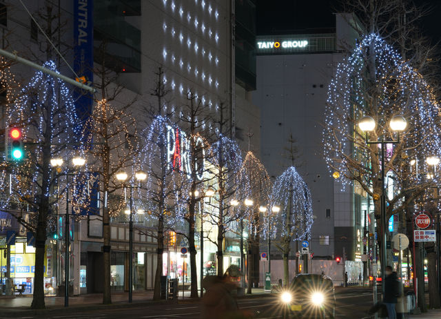 札幌白色燈樹節 | 札幌