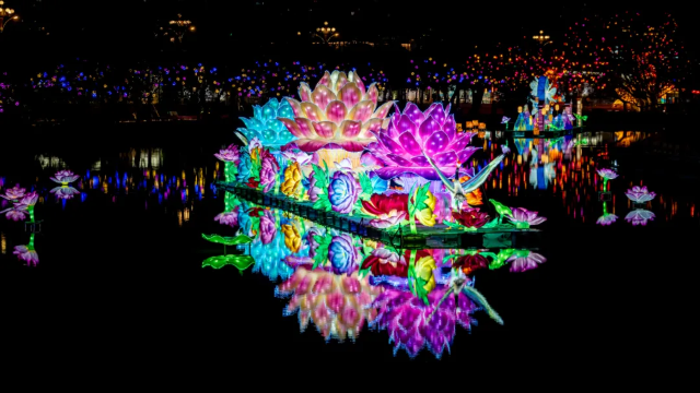 2025 Zhangzhou Spring Festival Yuanxiao  Lantern Show | Yunxiao