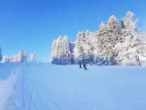 Snowpark Lipno LIPNO SERVICE s. R. O.