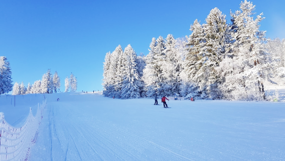 Snowpark Lipno LIPNO SERVICE s. R. O.