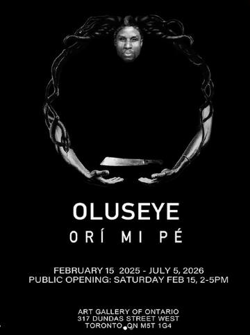 《Oluseye：我的腦袋裡已經滿了》裝置藝術展 | 安大略省美術館