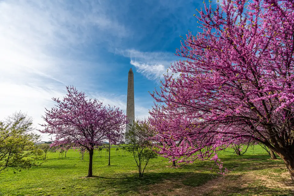 5_National Mall