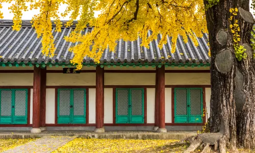 전주 한옥마을