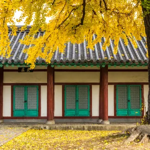 全州韓屋村