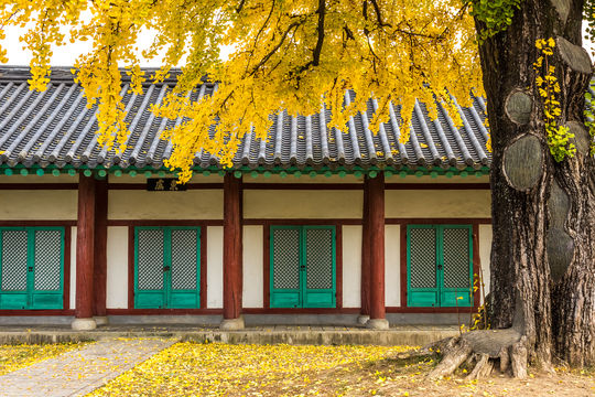 Jeonju Hanok Village