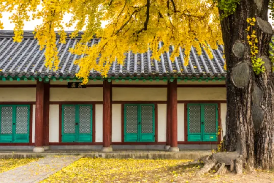 Jeonju Hanok Village