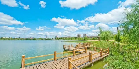 天湖公園
