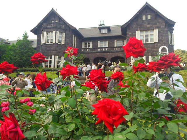 Kyu-Furukawa Gardens Rose Festival | Tokyo