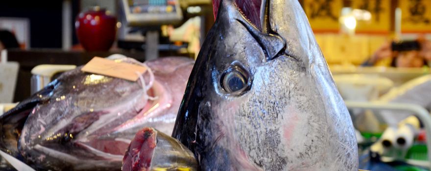 Kuroshio Market