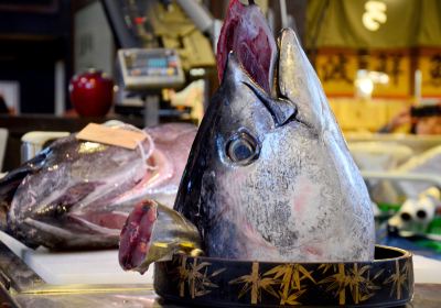 Kuroshio Market