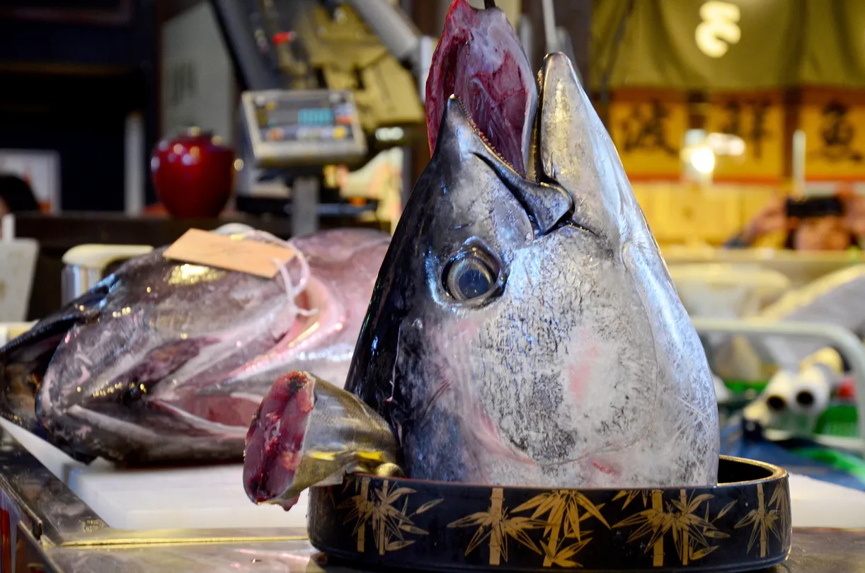 3_Kuroshio Market