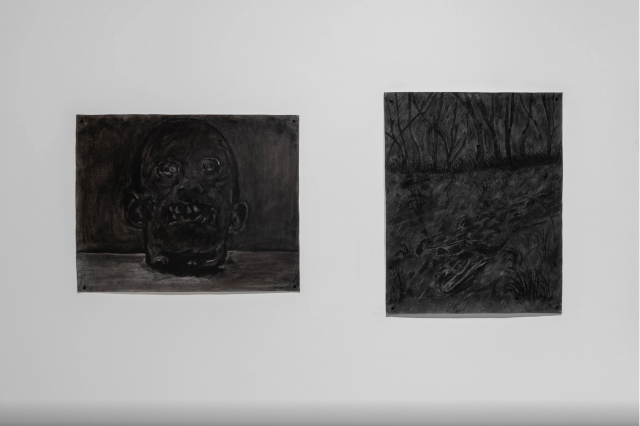 《焦點：菲利克斯·萊昂：因為缺少一匹馬，丟失了一顆鈕釦》展覽 | Mana Contemporary