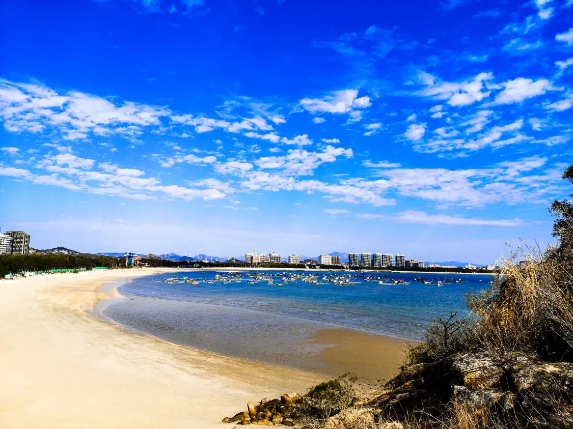 채접만(차이디에완) 관광지 주변 호텔