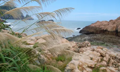 Dachen Island