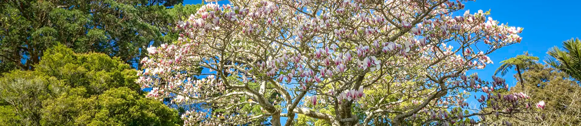 Spring Outings