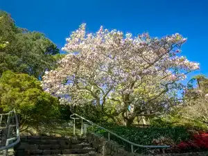 Popular Spring Outings in Wellington