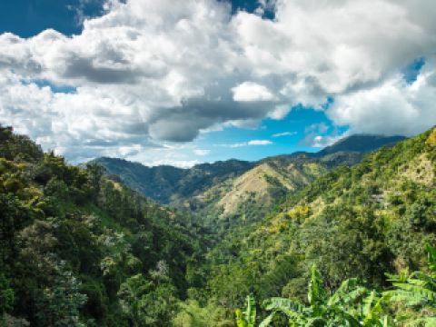 billet d'avion David Kingston