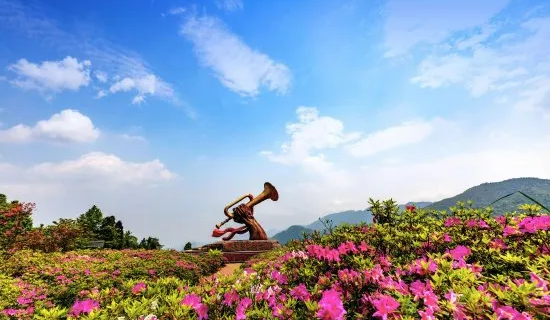 The 17th Jinggangshan Azalea Festival 2026