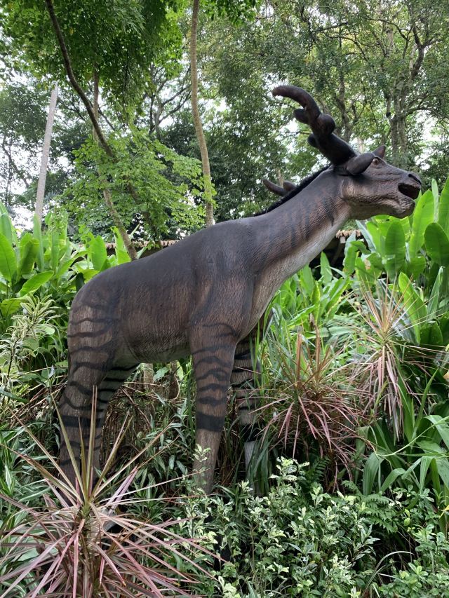 Singapore Zoo