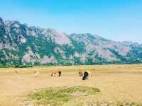 The must do Thakhek trip 