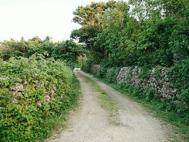 altTitle